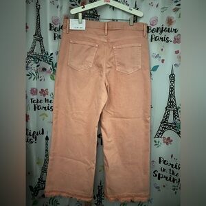 Ann Taylor Palazzo's Jeans.